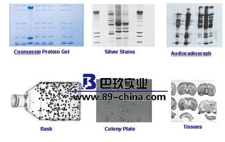 凝膠成像系統(tǒng) 凝膠成像系統(tǒng)