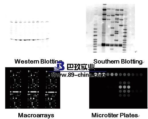 凝膠成像系統(tǒng) 凝膠成像系統(tǒng)