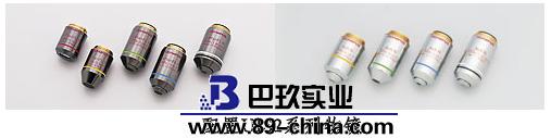 BX53-P BX53-P