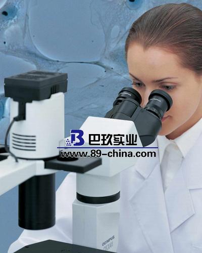 奧林巴斯倒置顯微鏡 奧林巴斯倒置顯微鏡