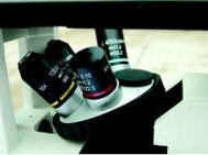 XD-202倒置生物顯微鏡 XD-202倒置生物顯微鏡