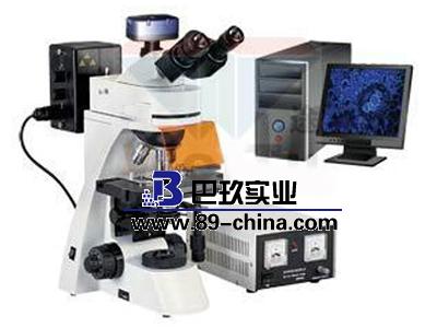 BM-11-2數碼簡易偏光顯微鏡(裝置) BM-11-2數碼簡易偏光顯微鏡(裝置)