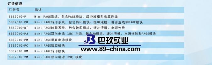 美國SBP垂直電泳系統 美國SBP垂直電泳系統