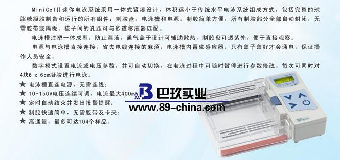 MiniGelⅡ迷你電泳儀 MiniGelⅡ迷你電泳儀