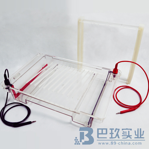 北京六一DYCP-32C型瓊脂糖水平電泳儀(大號) 北京六一DYCP-32C型瓊脂糖水平電泳儀(大號)