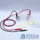 國產(chǎn)DYCP-31BN型瓊脂糖水平電泳儀(槽)(微型)