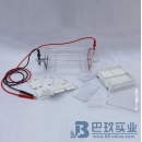 國產(chǎn)DYCP-31DN型瓊脂糖水平電泳儀(槽)(小號)