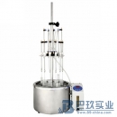 國(guó)產(chǎn)WD-12水浴氮吹儀