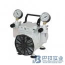 美國(guó)威爾奇2522C-02干式WOB-L活塞泵 