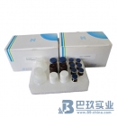 慶大霉素Elisa試劑盒