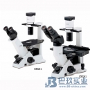 奧林巴斯倒置顯微鏡CKX41型|OLYMPUS顯微鏡