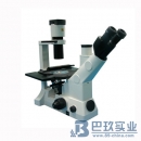 XD-202倒置生物顯微鏡